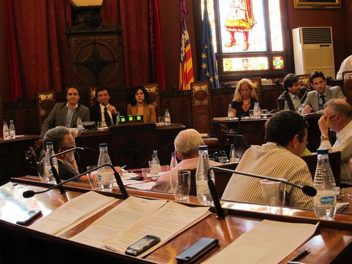 Pleno Municipal Palma