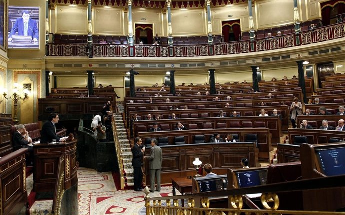 Recurso Del Congreso De Los Diputados, Hemiciclo