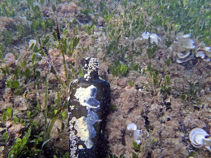 Restos Hallados En El Pecio De Denia          