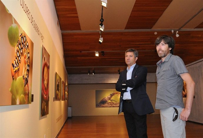 Nota Y Fotos Cantabria Minúscula