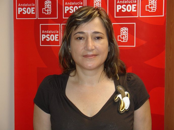 Esperanza Pérez Felices, Nueva Portavoz Del PSOE En La Diputación De Almería