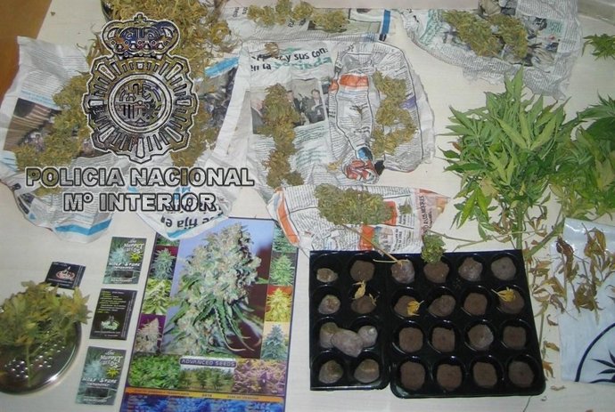 Marihuana Incautada Por La Policía