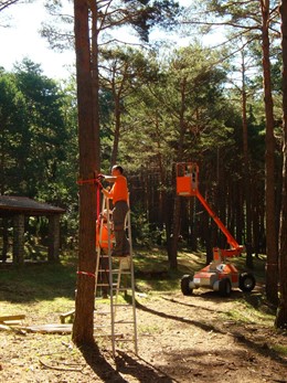 Las Actividades Ocuparán 750 M2 De Vuelo
