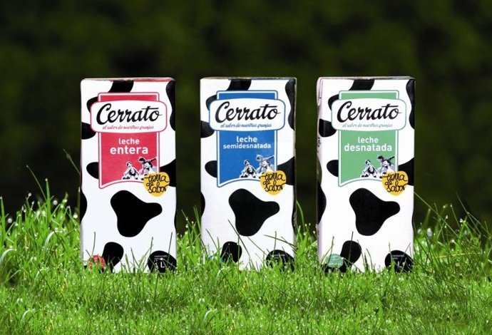 Bricks De Leche Cerrato