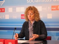 Díaz Tezanos considera las declaraciones de Serna un "claro ataque" a la enseñanza pública