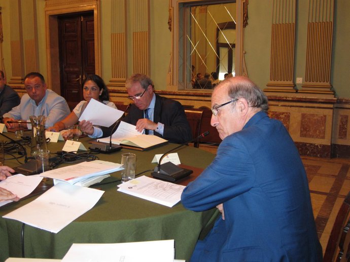 Pedro Rodríguez En Sesión Plenaria. 