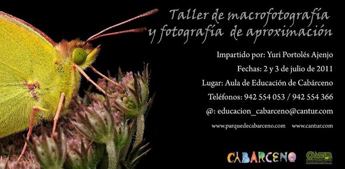 Cartel Curso De Fotografía