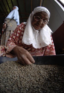 Mujer Selecciona Café
