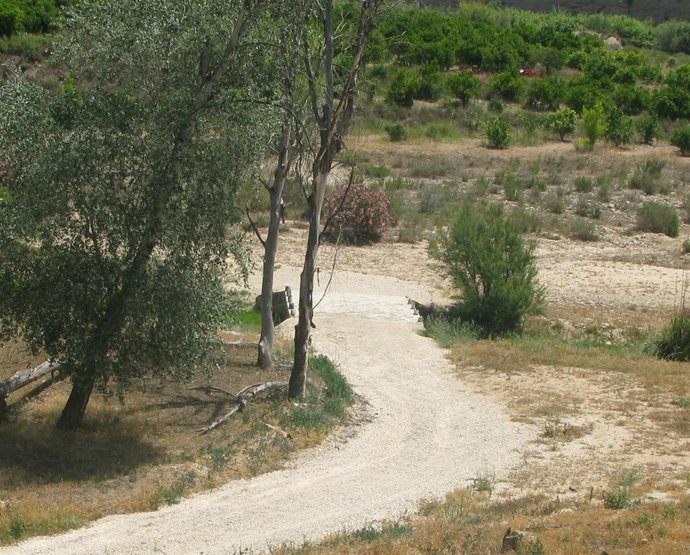 Imagen De Uno De Los Tramos De La Ruta Del Agua Que Han Sido Acondicionados 