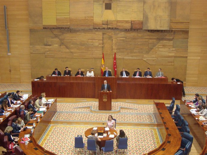 Presidencia De La Asamblea De Madrid