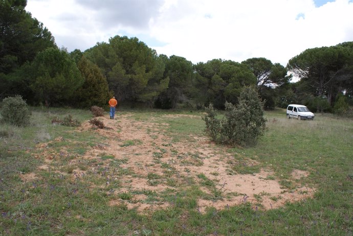 Paraje De 'La Legua' Donde Se Realizan Las Exhumaciones