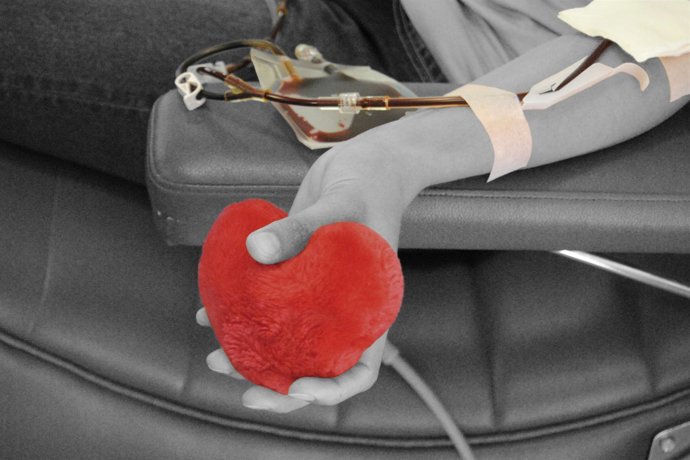 A ATENCIÓN AOS MAIORES, A DOAZÓN DE SANGUE E A RECICLAXE PREMIADAS NO CONCURSO D