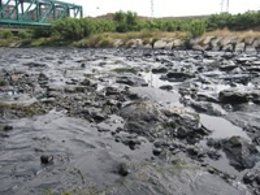 Vertido De Hidrocarburos En La Desembocadura Del Francolí