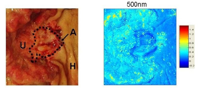 Experimentación Óptica, Ciencia