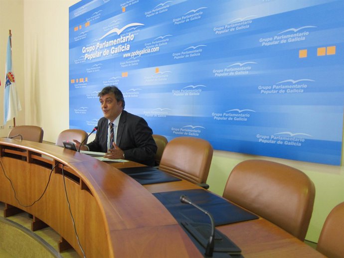 Pedro Puy Fraga, Portavoz Parlamentario Del Ppdeg