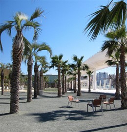 El Palmeral De Las Sorpresas