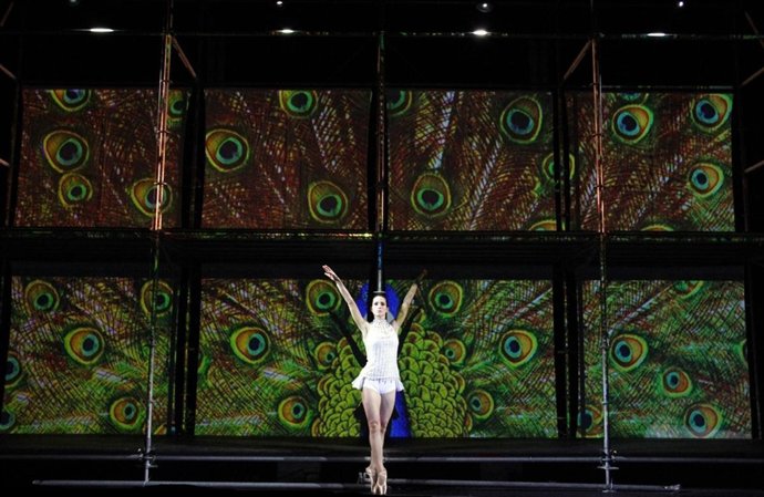 Representación Del Pasado Año