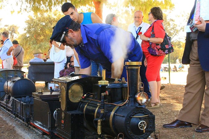 Recreación Del Tren Minero