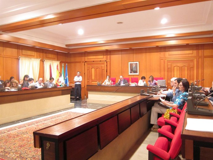Pleno Del Ayuntamiento De Córdoba En Sesión Ordinaria