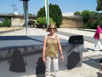 Rosa Díez aconseja a González-Sinde que dimita "por decencia política"