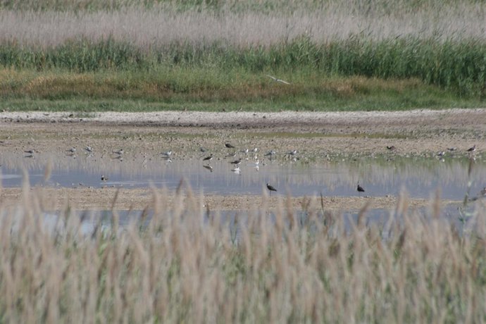 Parque Nacional de Las Tablas de Daimiel