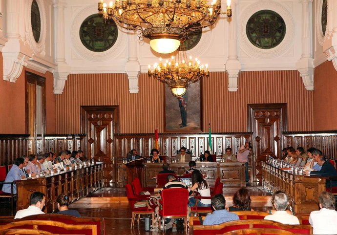 Pleno Extraordinario De La Diputación Provincial De Jaén.