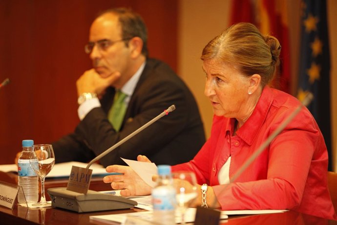 La Presidenta Del CSN Y El Director De WANO, Ignacio Araluce