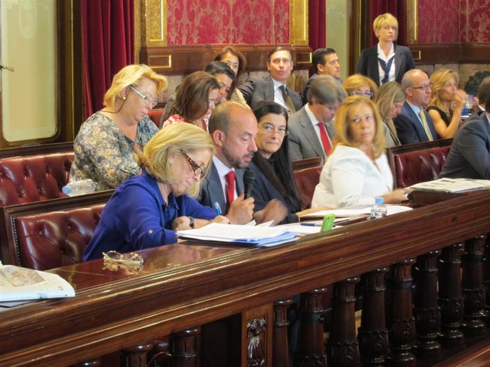 Miguel Ángel Villanueva Durante Su Intervención En El Pleno