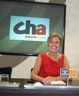 La Presidenta De CHA, Nieves Ibeas