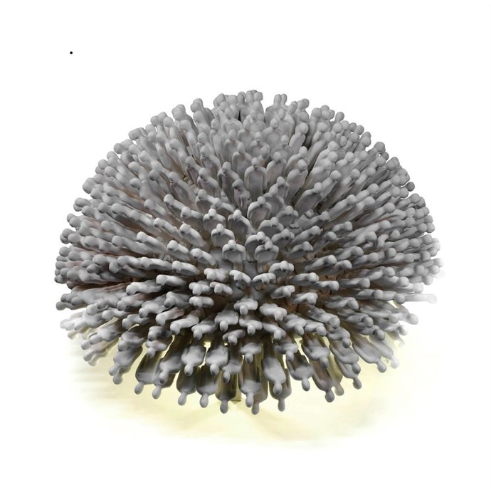 'Vértigo', Escultura Ganadora De Los Premios Bancaja 