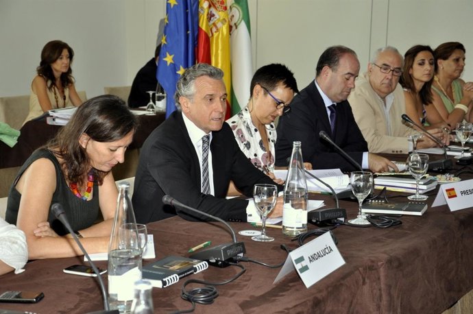 Plata En La Reunión Del Consejo Del Patrimonio Histórico Español