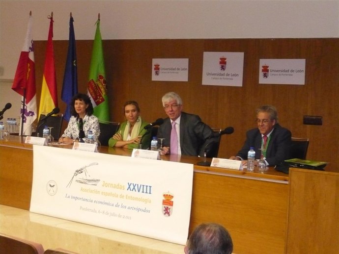 Inauguración Del Encuentro