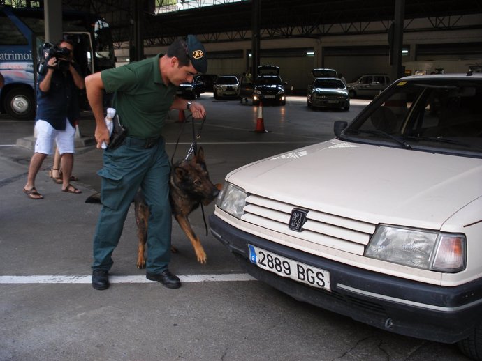 El Perro De La Guardia Civil