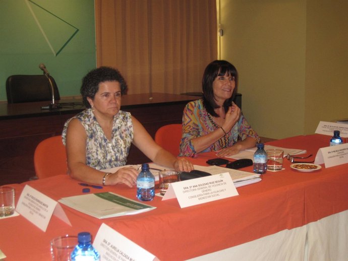 La Consejera De Igualdad En El Pleno Del Observatorio De La Violencia De Género