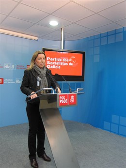 Carmen Gallego, Diputada Del Psdeg 