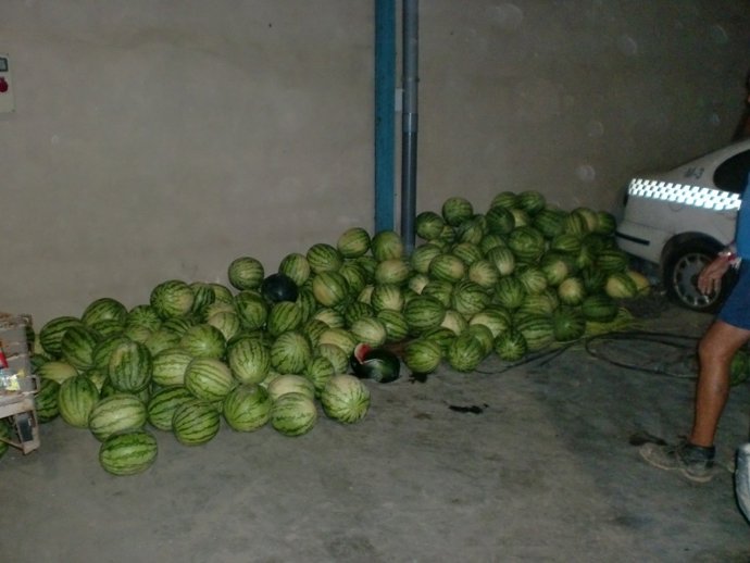 Imagen De Las Sandías Incautadas