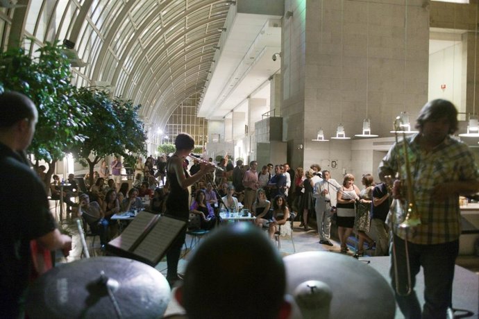 El Músico Durante Una Actuación