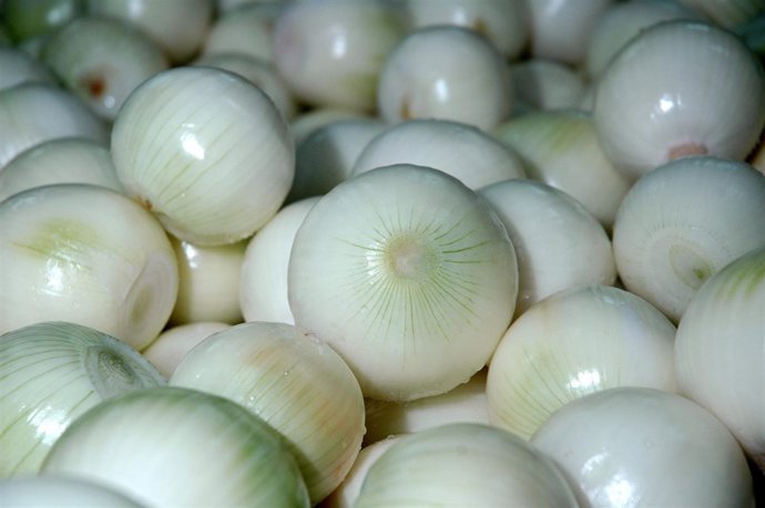 Cebollas De Fuentes De Ebro