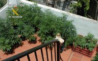Detenida una mujer alemana e incautadas 130 plantas de marihuana en Órgiva y Pinos Puente (Granada)