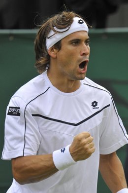 David Ferrer