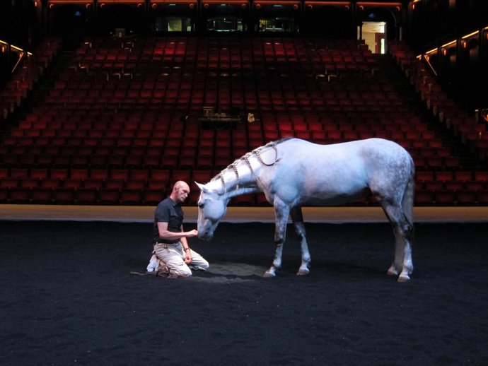 El Jinete Bartabas En El Centaure I L'animal
