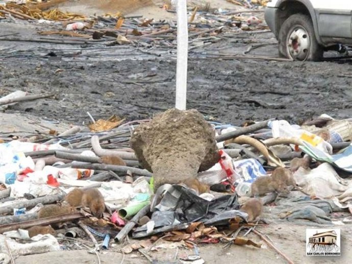 Toneladas De Basura En El Gallinero
