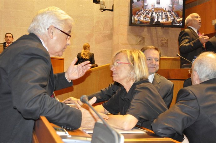 La Presidenta Del Grupo De PSOE, Eva Almunia