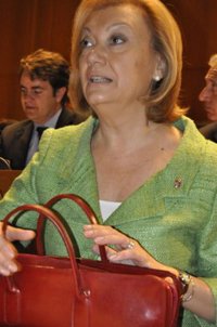 Rudi replica a Almunia que tiene un "compromiso total" con los artículos del Estatuto sobre agua