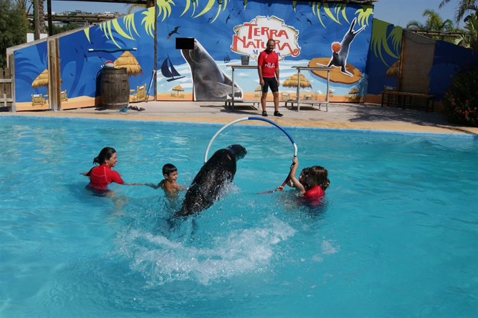 Terapia Con Leones Marinos Para Personas Con Discapacidad 