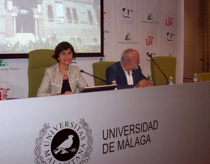 La Presidenta Del CAA, Emelina Fernández, En Una Rueda De Prensa En Málaga