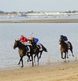 Carerras De Caballos En Sanlúcar.