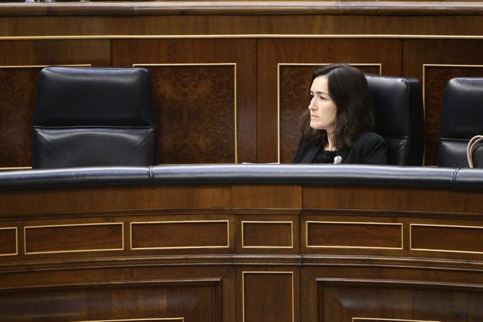 Sinde En El Congreso