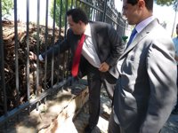 El delegado de la Junta visita las zonas más afectadas por el tornado en Almansa (Albacete)