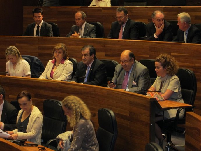 Francisco Álvarez-Cascos, En La Junta General